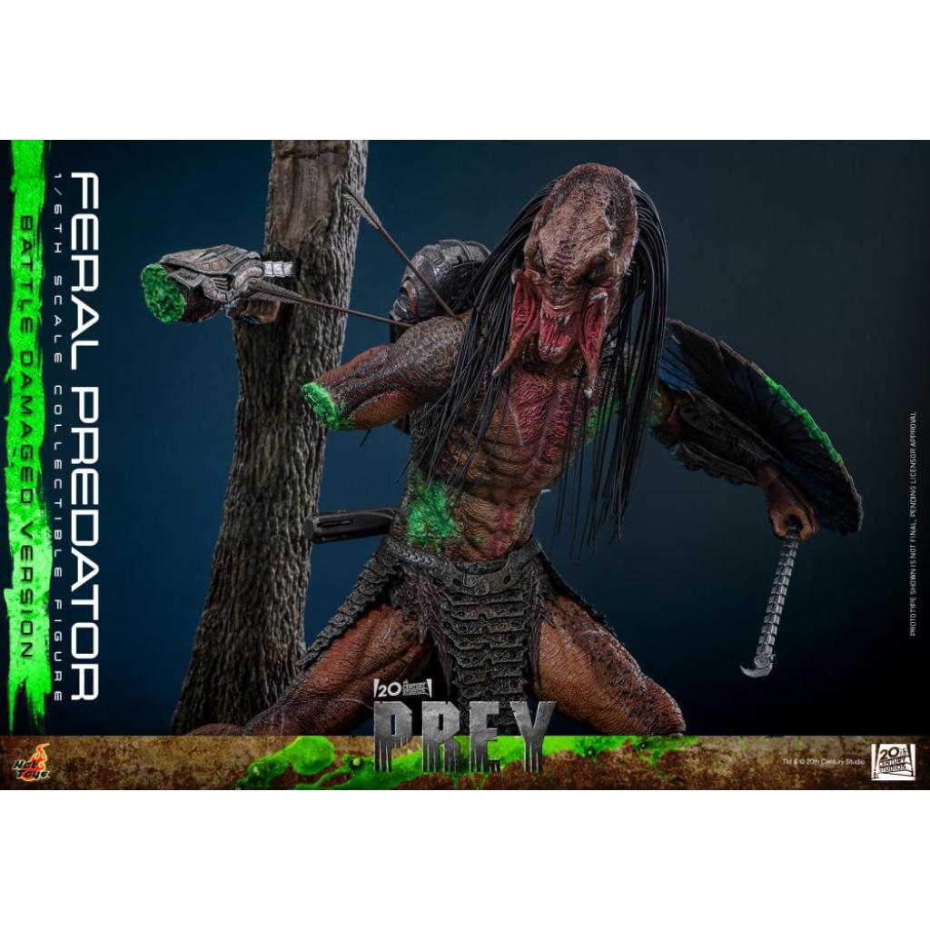TMS173 Prey - 1/6th scale Feral Predator (Battle Damaged Version)