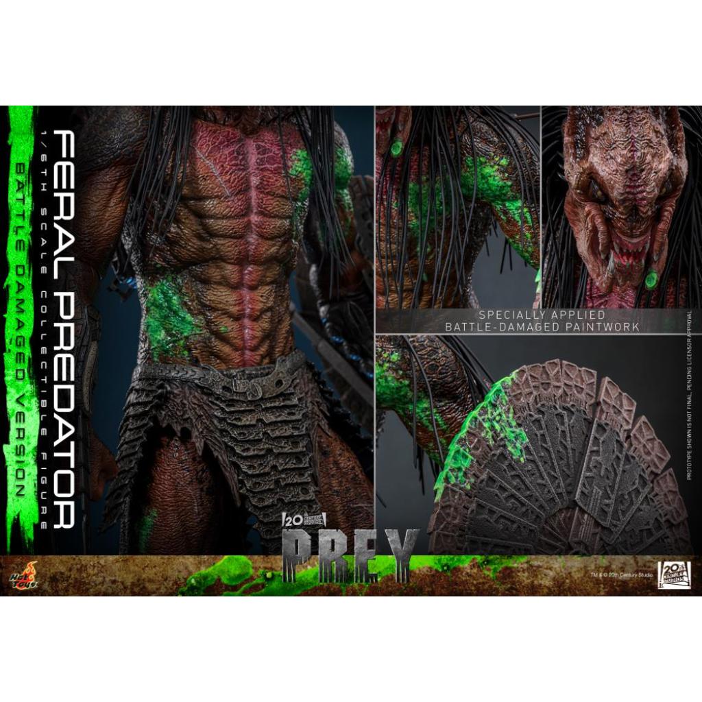 TMS173 Prey - 1/6th scale Feral Predator (Battle Damaged Version)