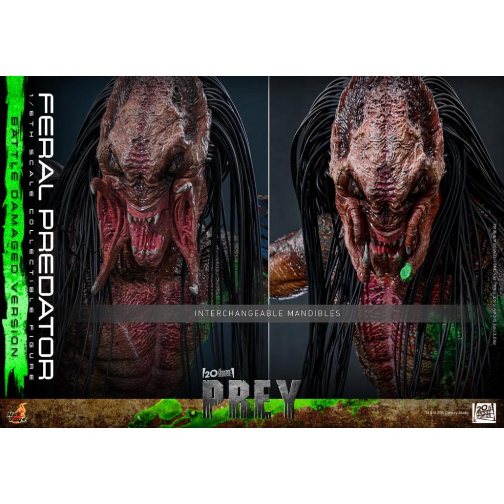TMS173 Prey - 1/6th scale Feral Predator (Battle Damaged Version)