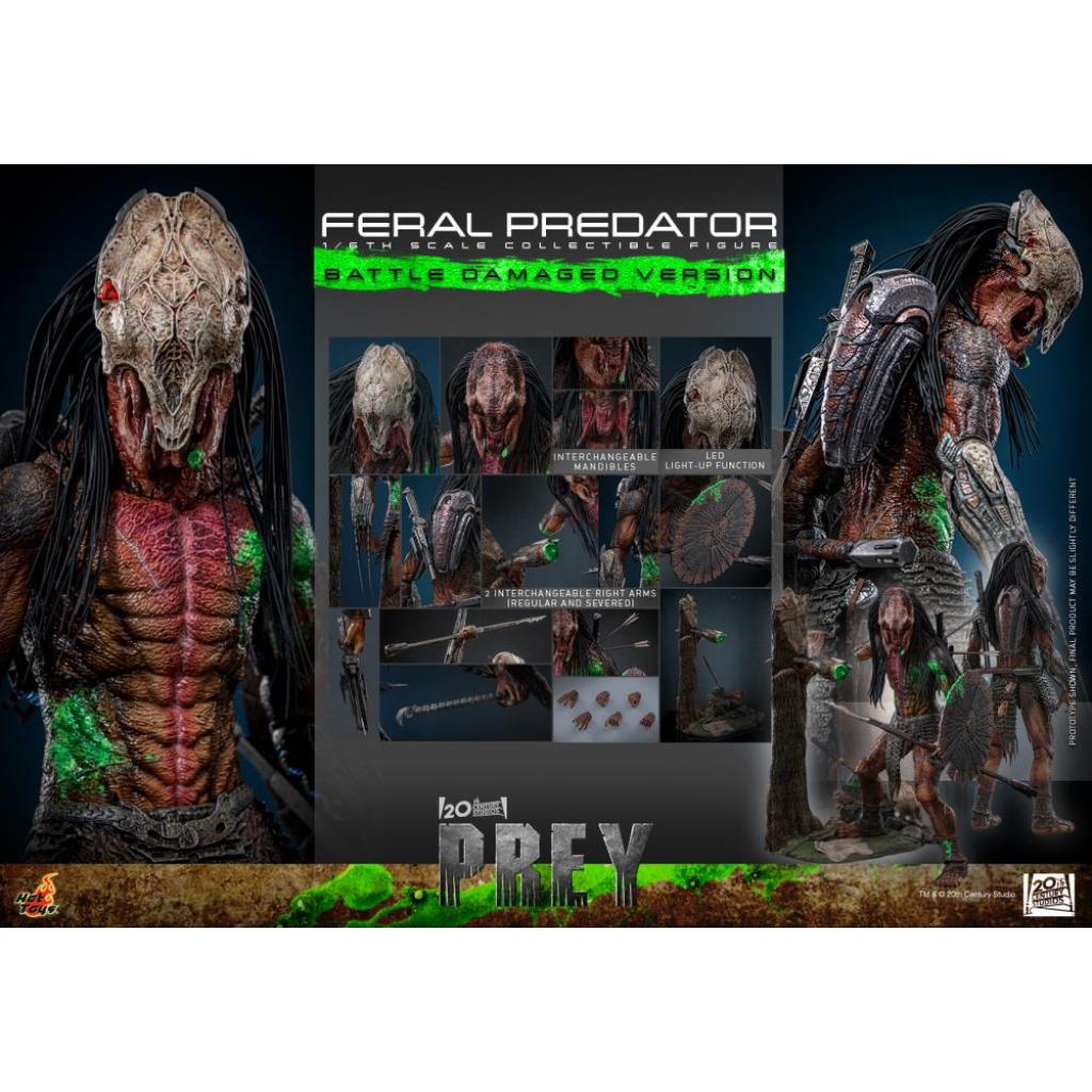 TMS173 Prey - 1/6th scale Feral Predator (Battle Damaged Version)