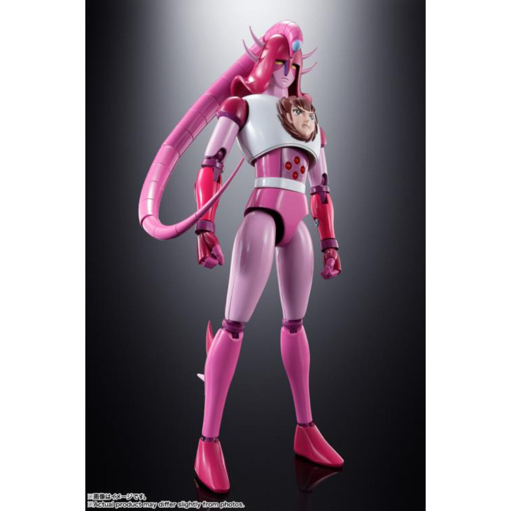 Soul Of Chogokin Gx-108 Rhine X1 & Dianan A