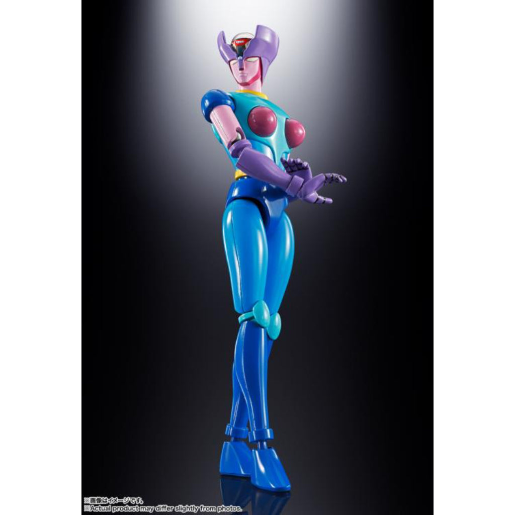 Soul Of Chogokin Gx-108 Rhine X1 & Dianan A