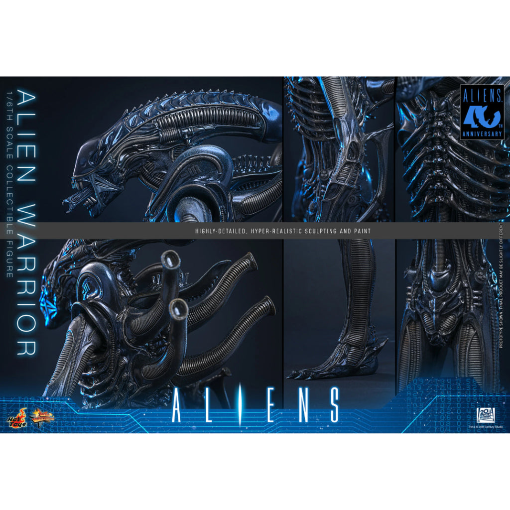 MMS898 Aliens - 1/6th scale Alien Warrior