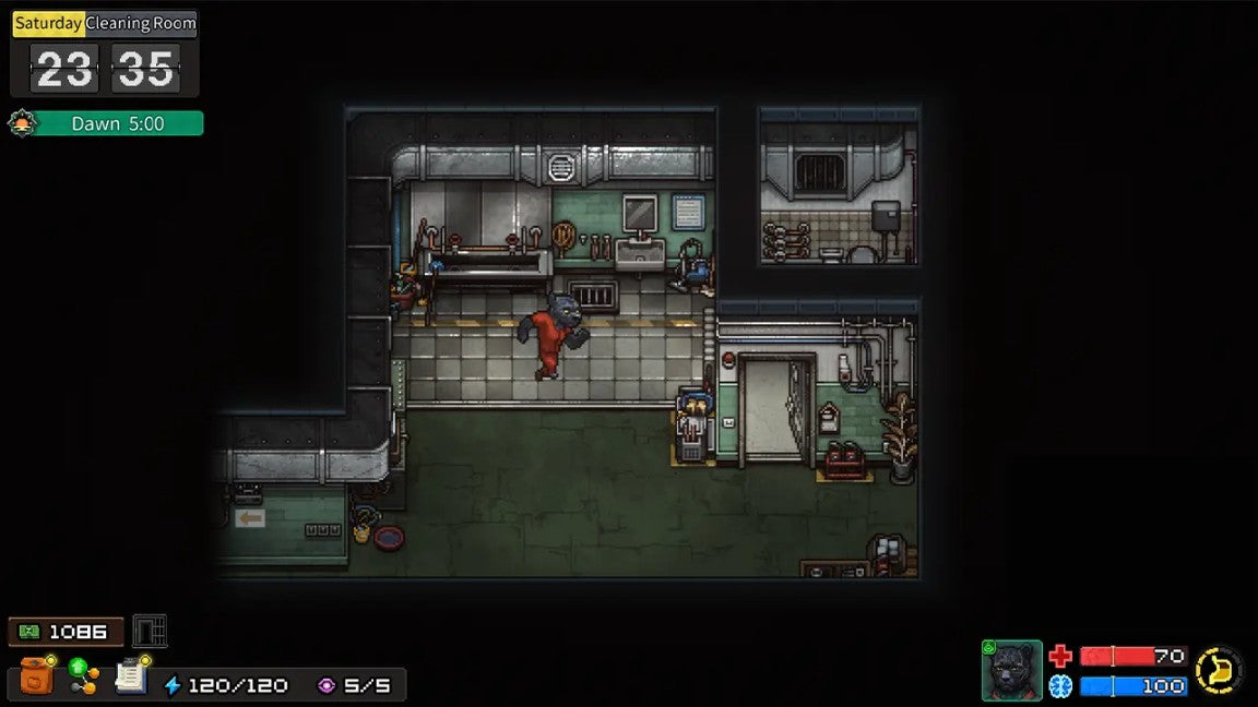 NSW Back to the Dawn