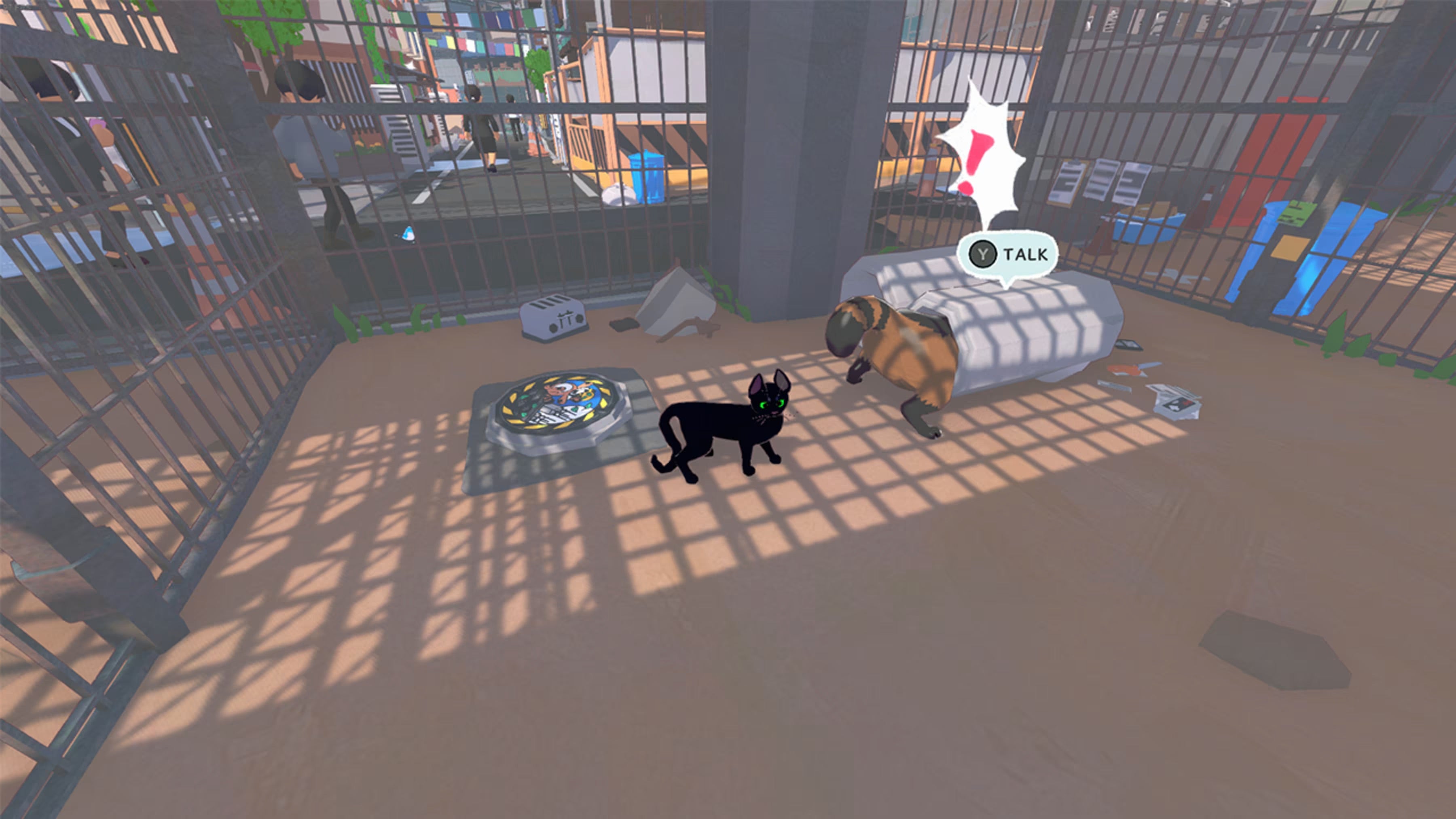 NSW Little Kitty Big City