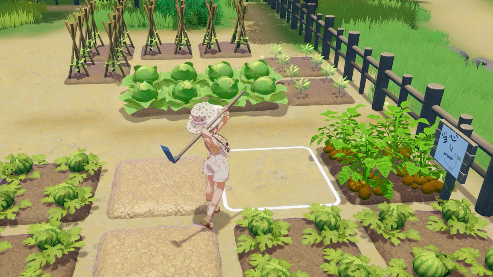 PS5 Starsand Island