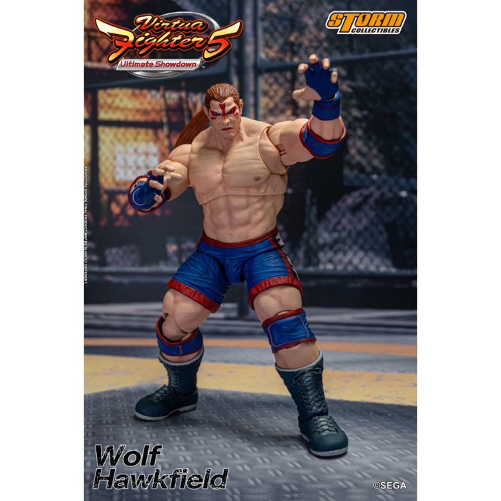 1:12 Scale Action Figure Virtua Fighter 5 - Wolf Hawkfield
