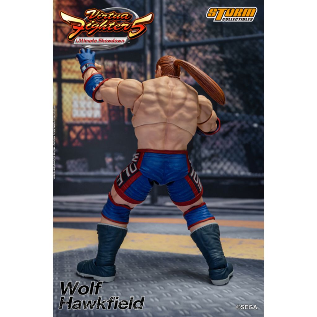1:12 Scale Action Figure Virtua Fighter 5 - Wolf Hawkfield