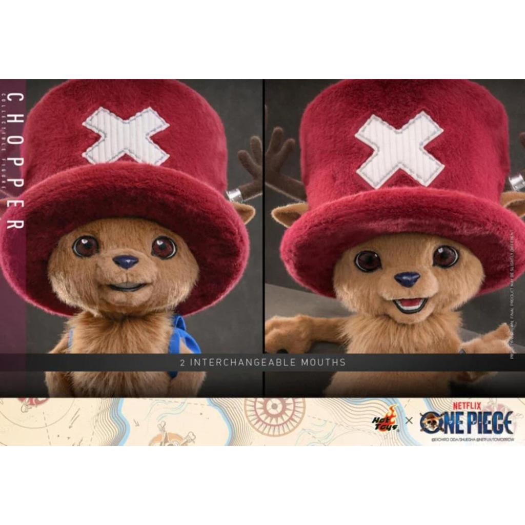 TMS174 One Piece - Chopper