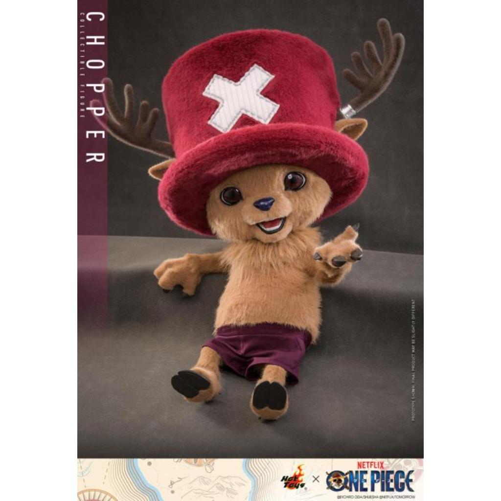 TMS174 One Piece - Chopper