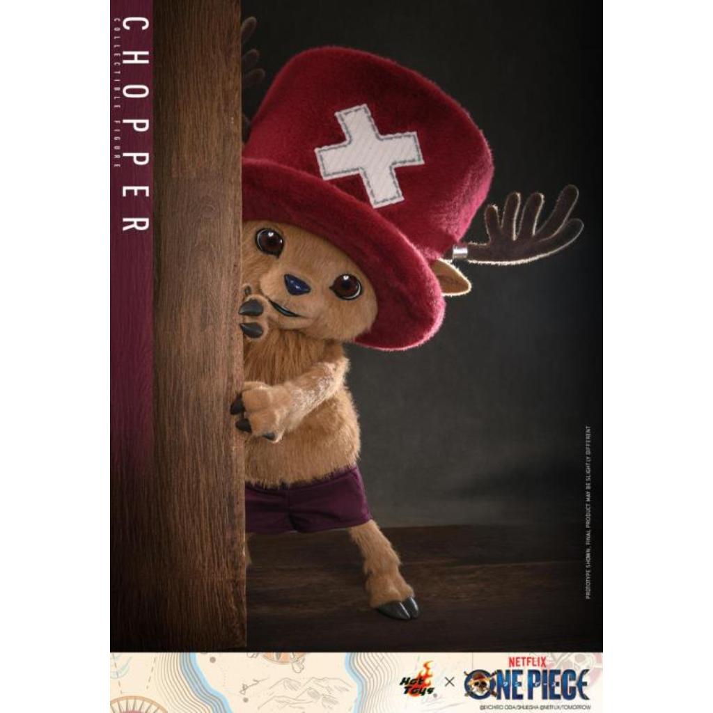 TMS174 One Piece - Chopper