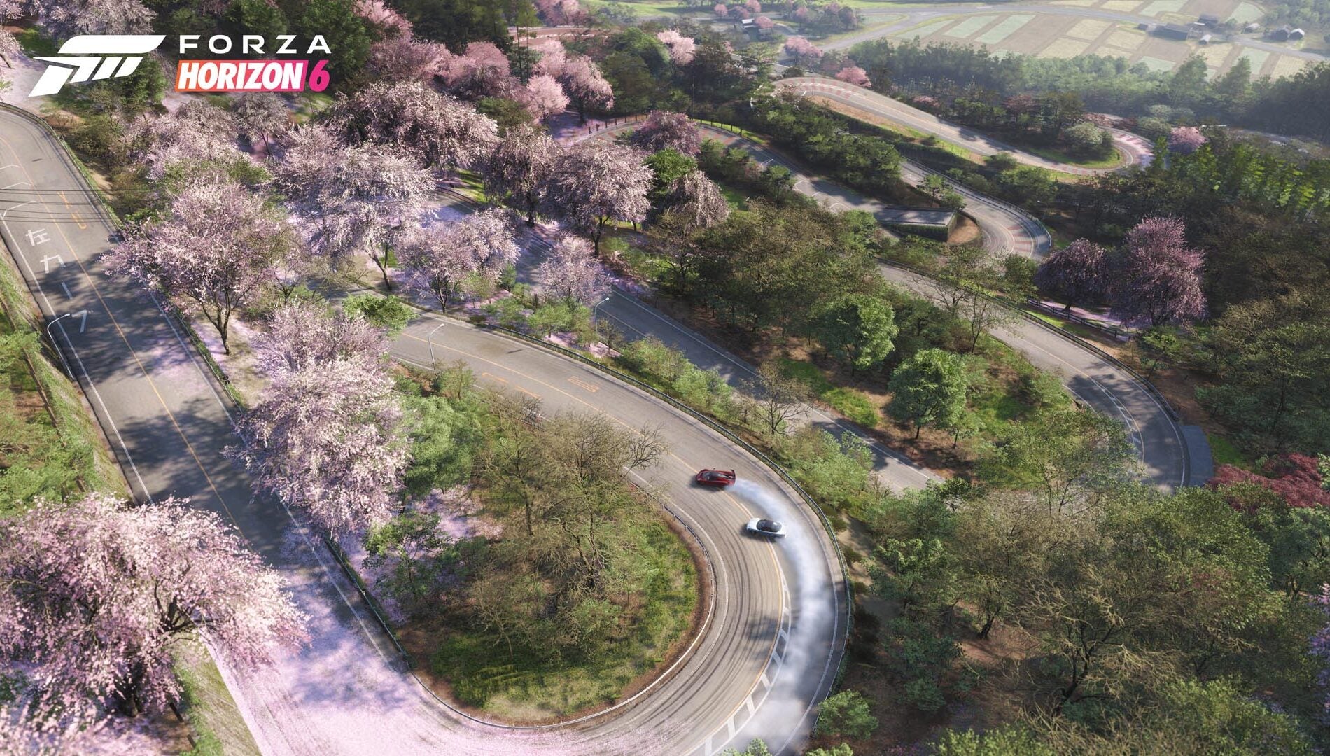 XSX Forza Horizon 6