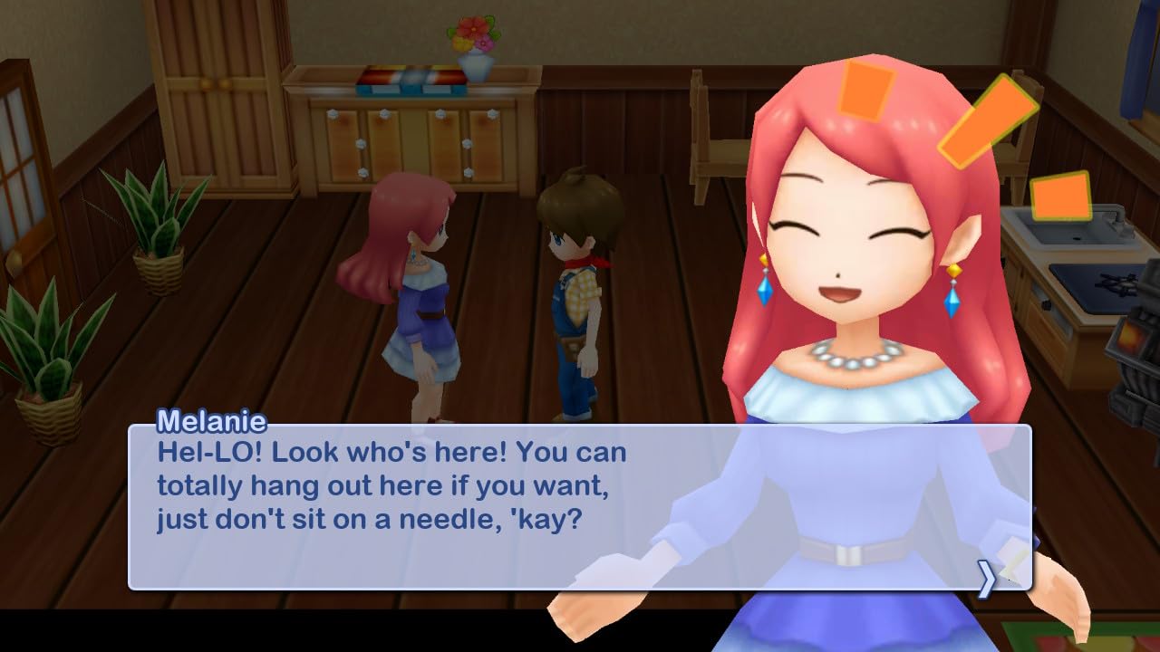 NSW Harvest Moon: The Lost Valley and Skytree Village