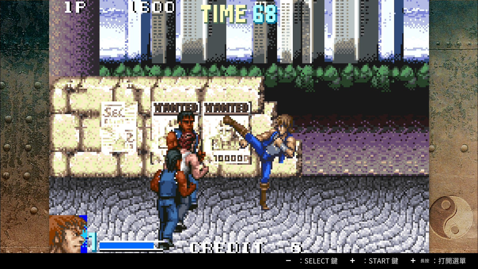 NSW Double Dragon Collection