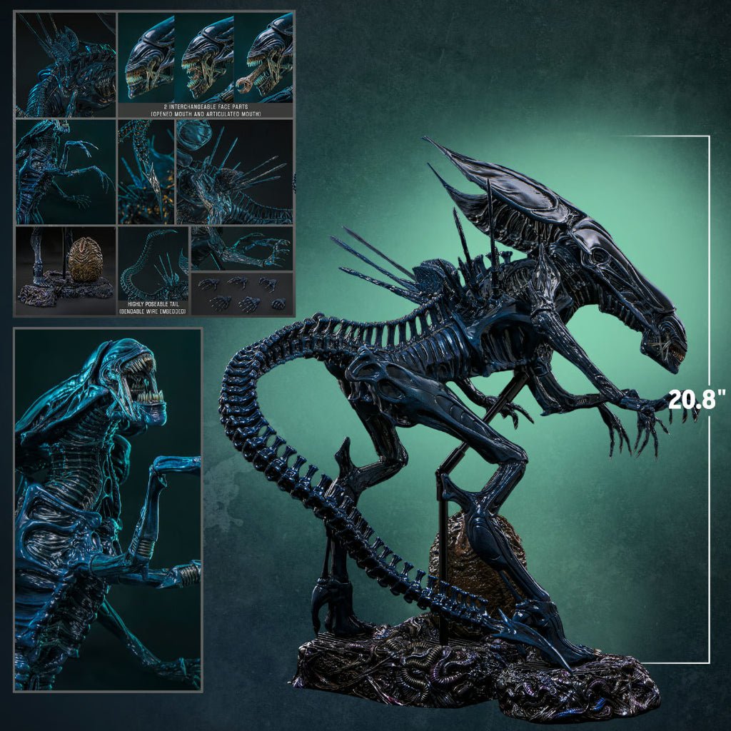 MMS903 Aliens - 1/6th scale Alien Queen