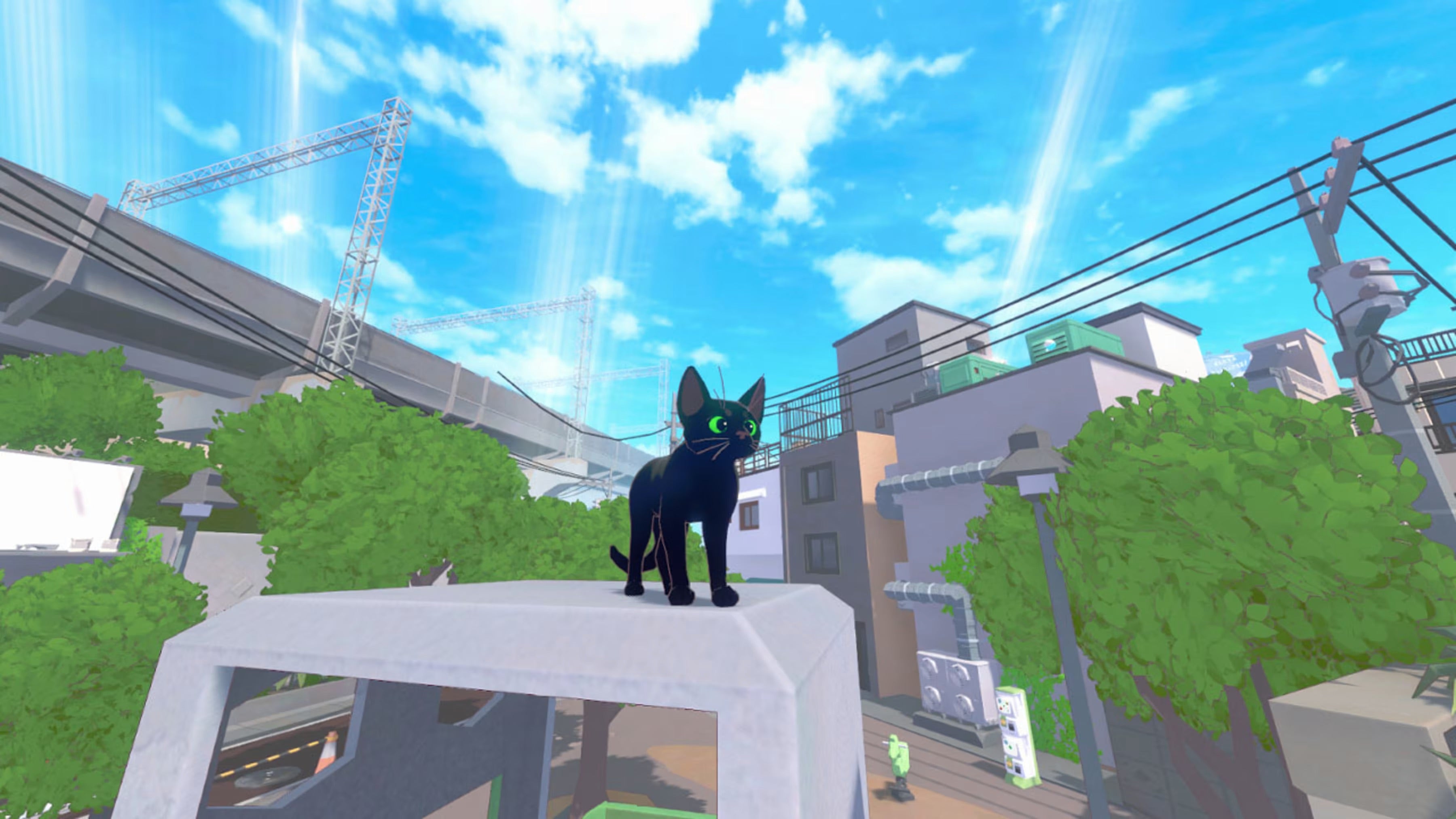 NSW Little Kitty Big City