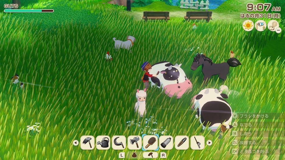 NS2 Story of Seasons: Grand Bazaar (M18)