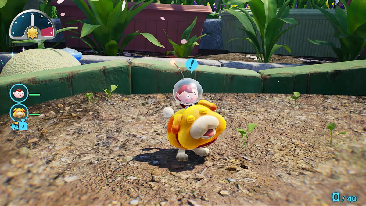 NS2 Pikmin 4 + Dandori Academy