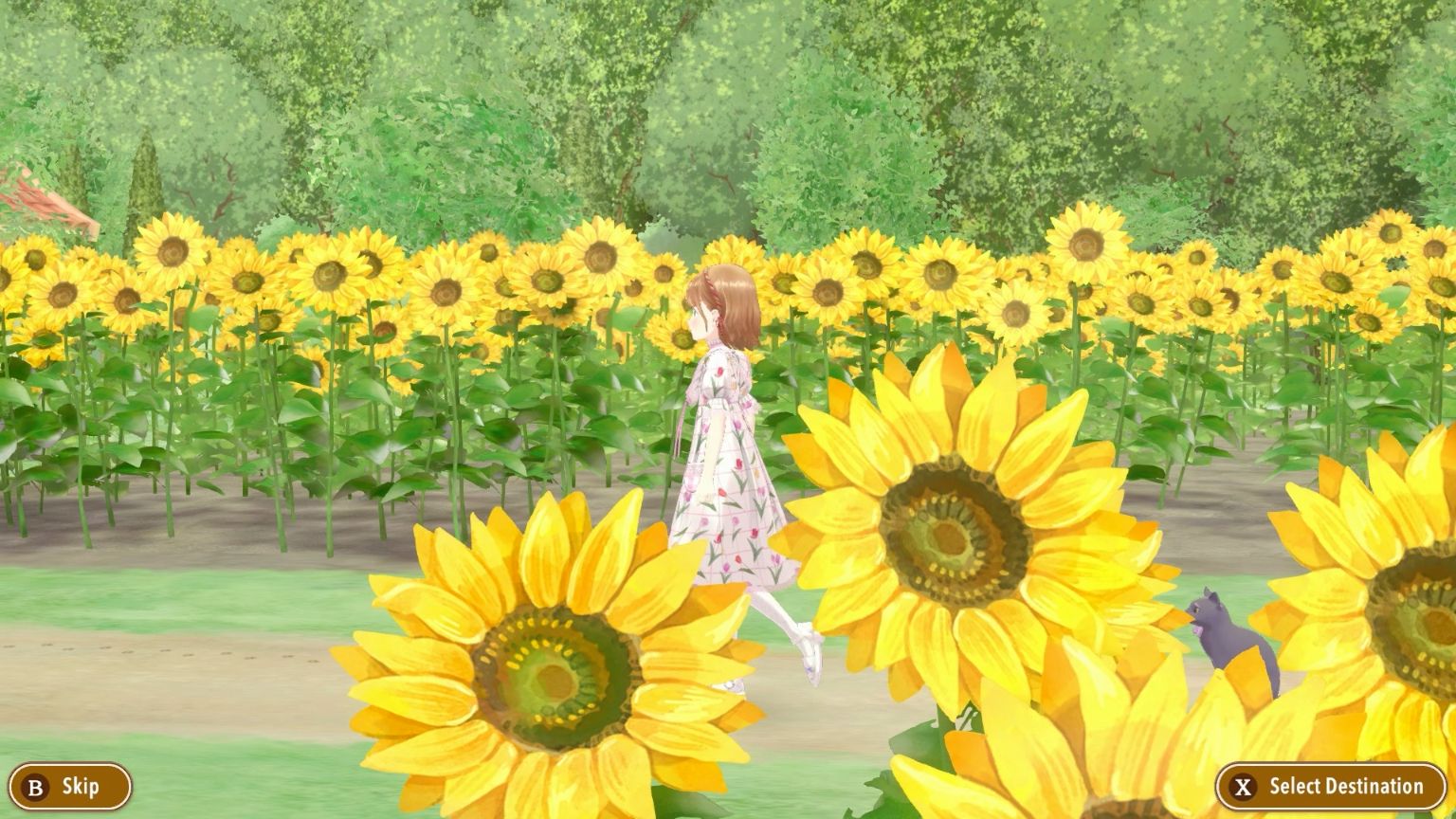 NSW Magical Craft: My Enchanted Dress Shop