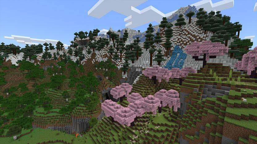 NS2 Minecraft