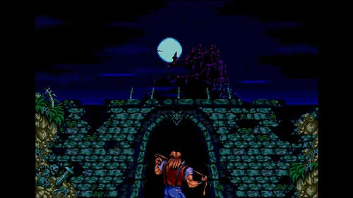 NSW Castlevania Anniversary Collection (NC16)