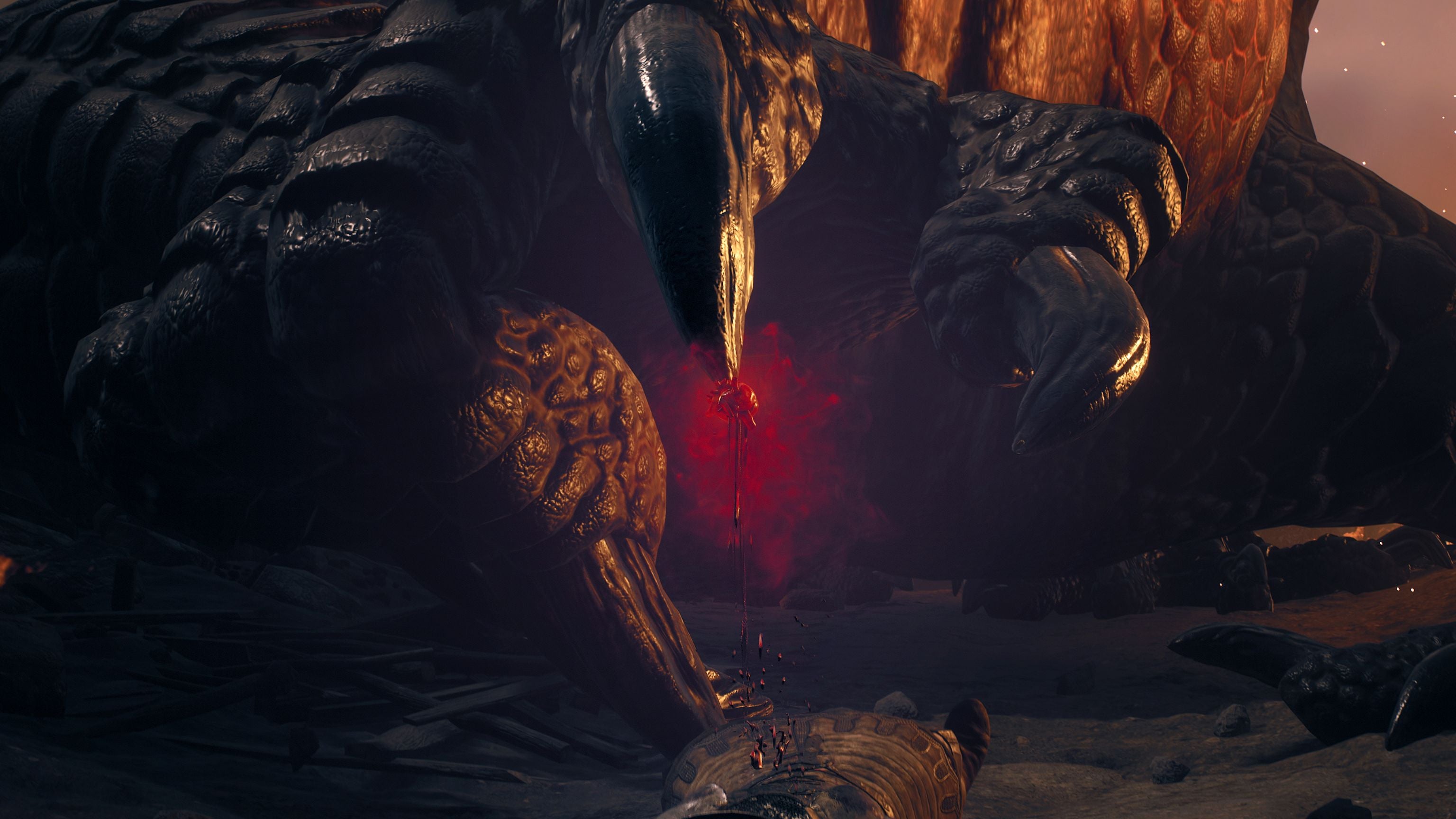 PS5 Dragon's Dogma II (M18)