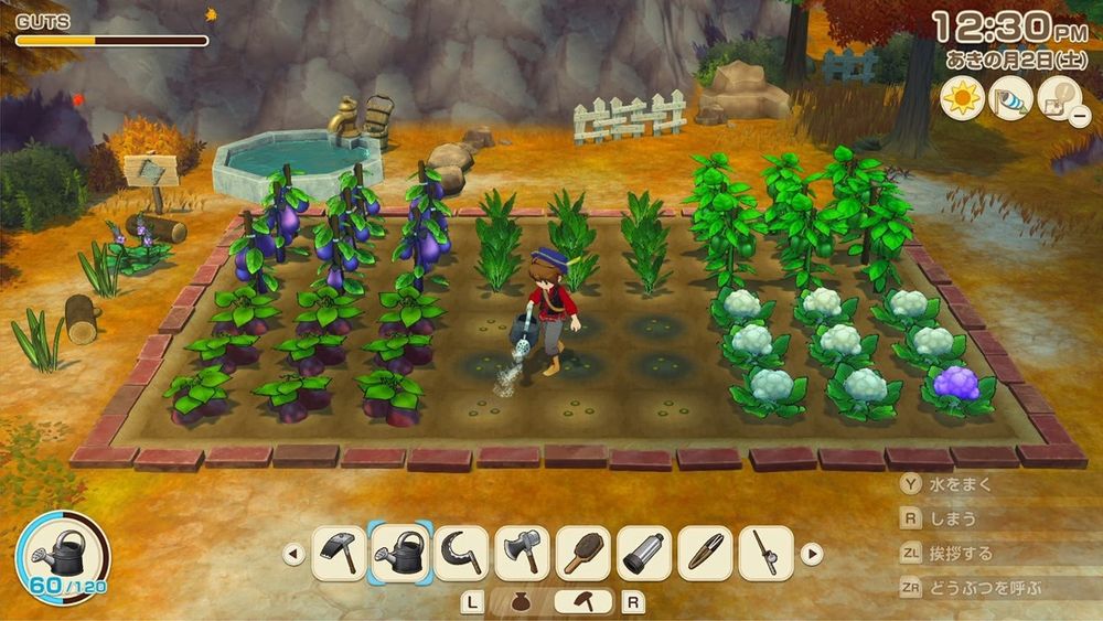 NS2 Story of Seasons: Grand Bazaar (M18)