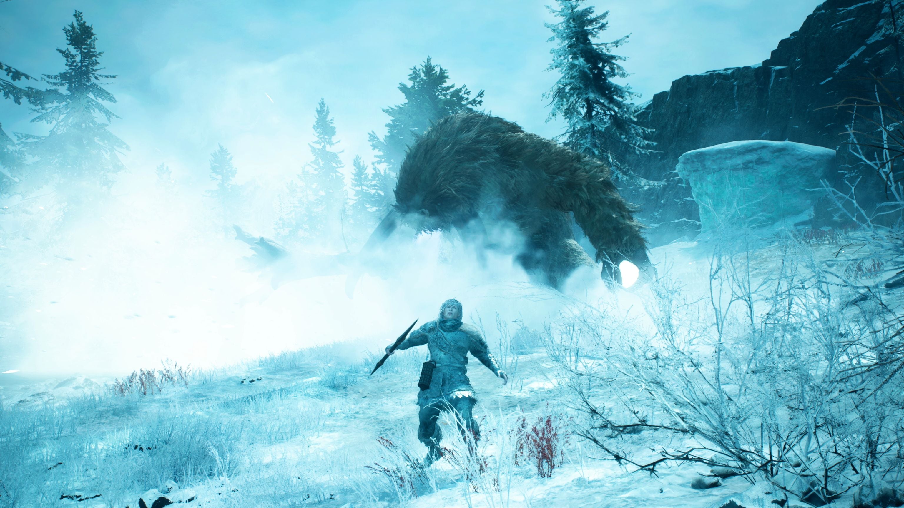 NS2 Dragons Dogma 2: Dark Arisen (Game-Key Card)