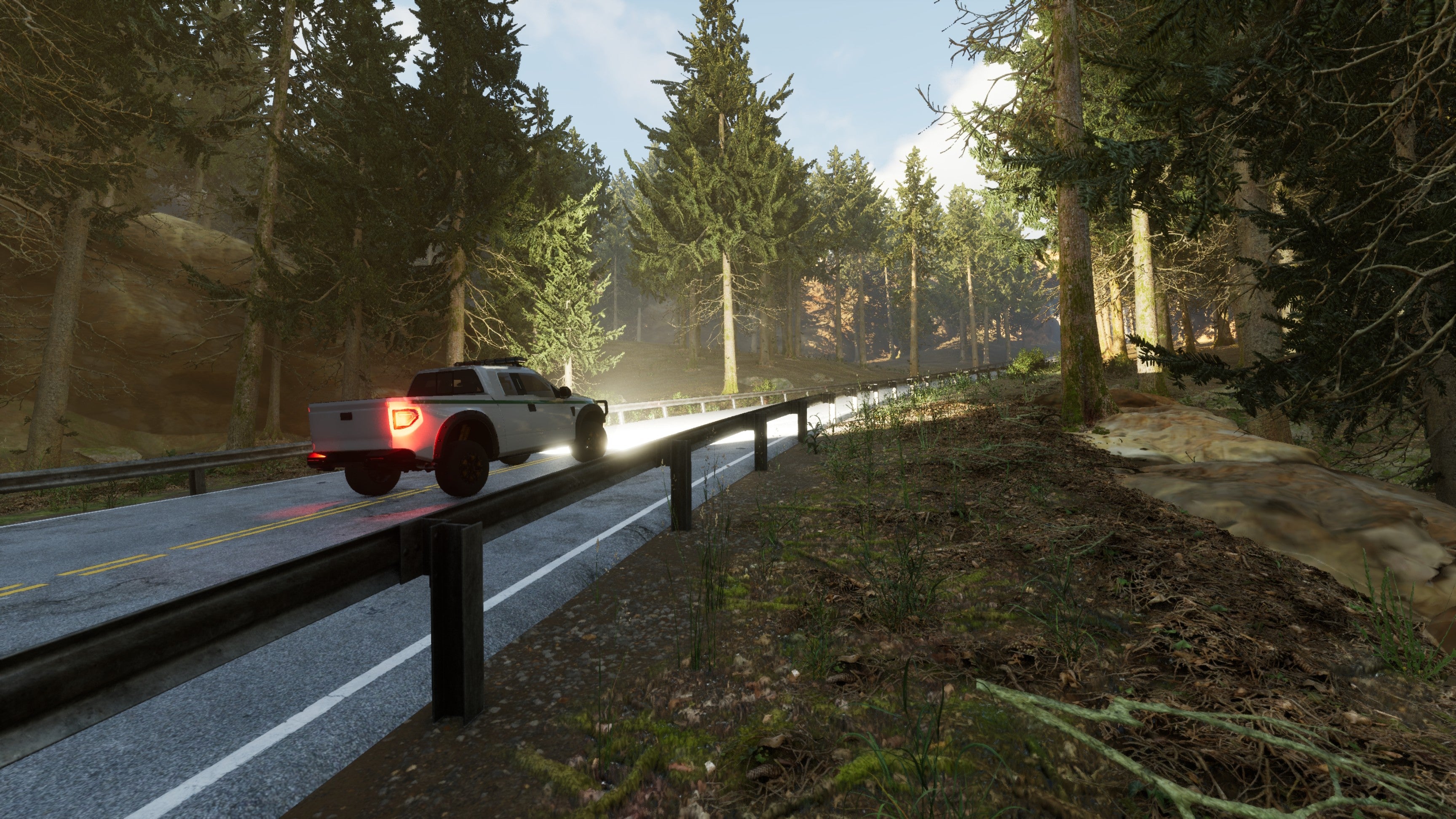 PS5 Park Ranger Simulator