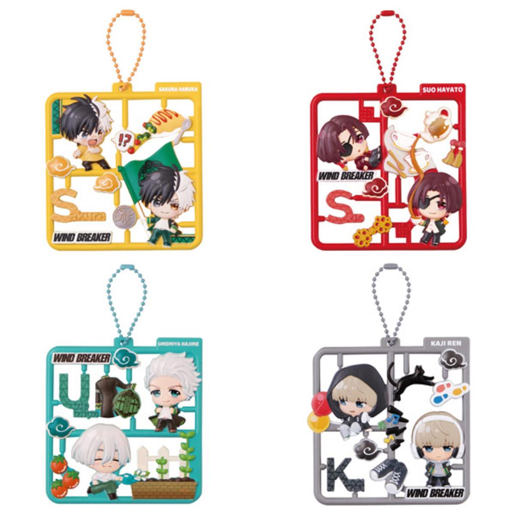 Platto Collection Wind Breaker (Set Of 4)