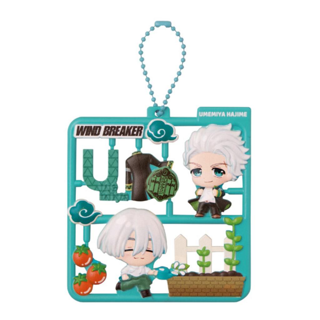 Platto Collection Wind Breaker (Set Of 4)