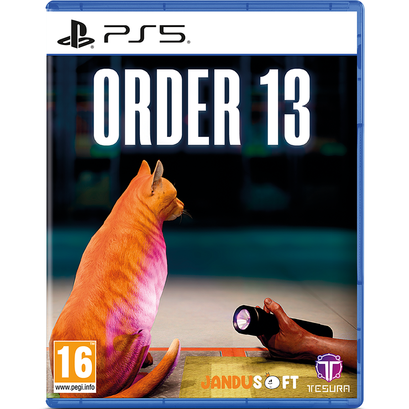 PS5 ORDER 13
