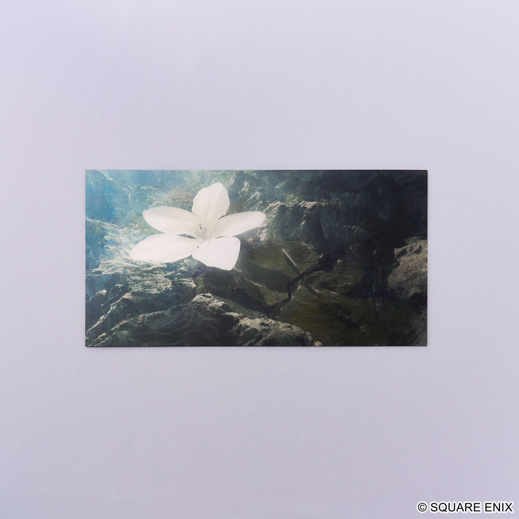 Square Enix NieR Series Large Postcard Set