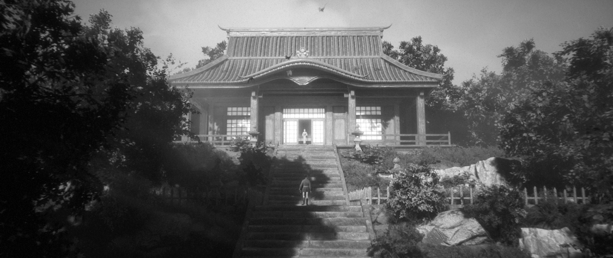 NSW Trek to Yomi (M18)