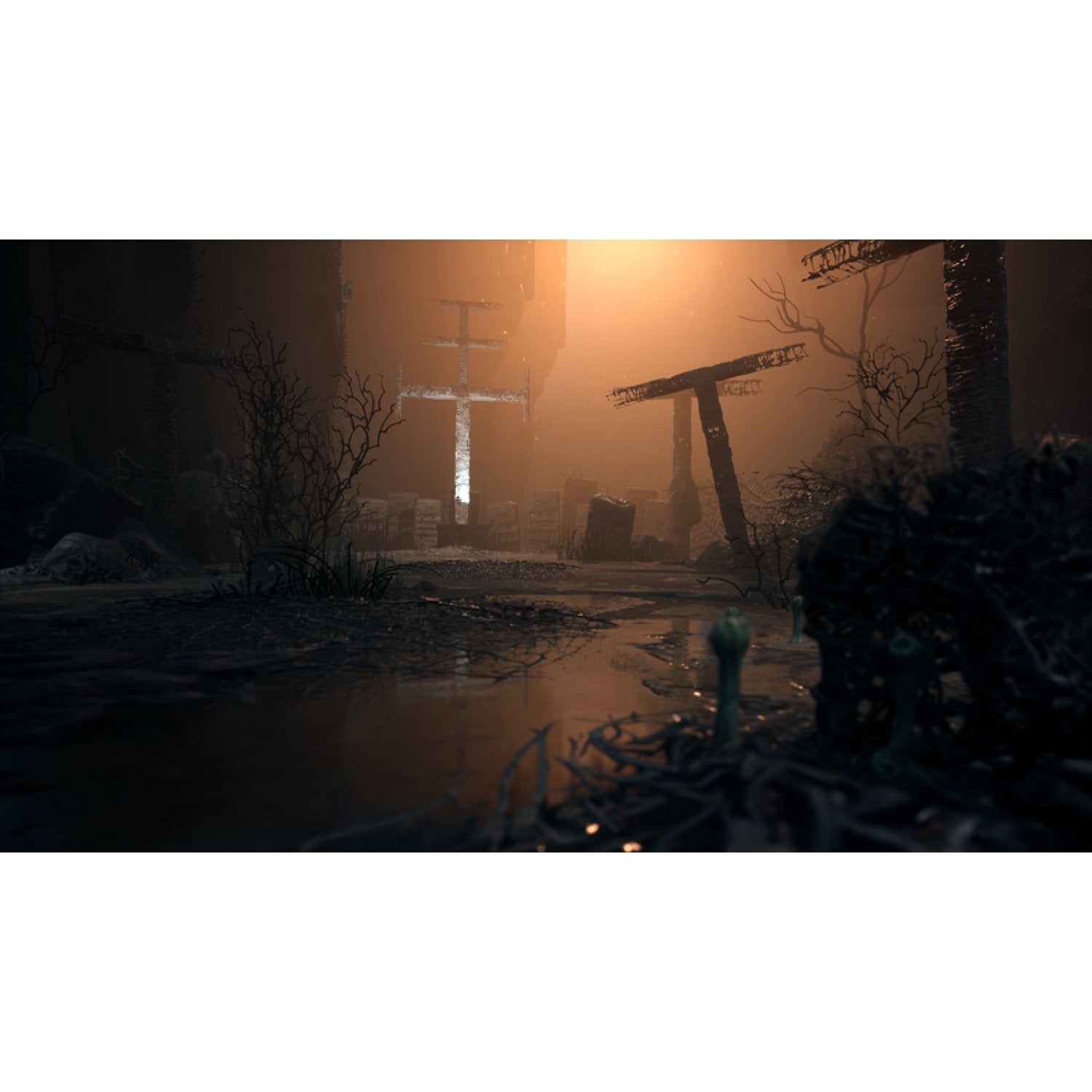 XSX The Medium (M18)