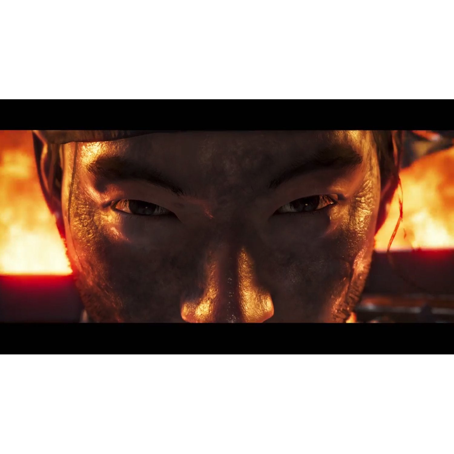 PS4 Ghost of Tsushima - Director's Cut Edition