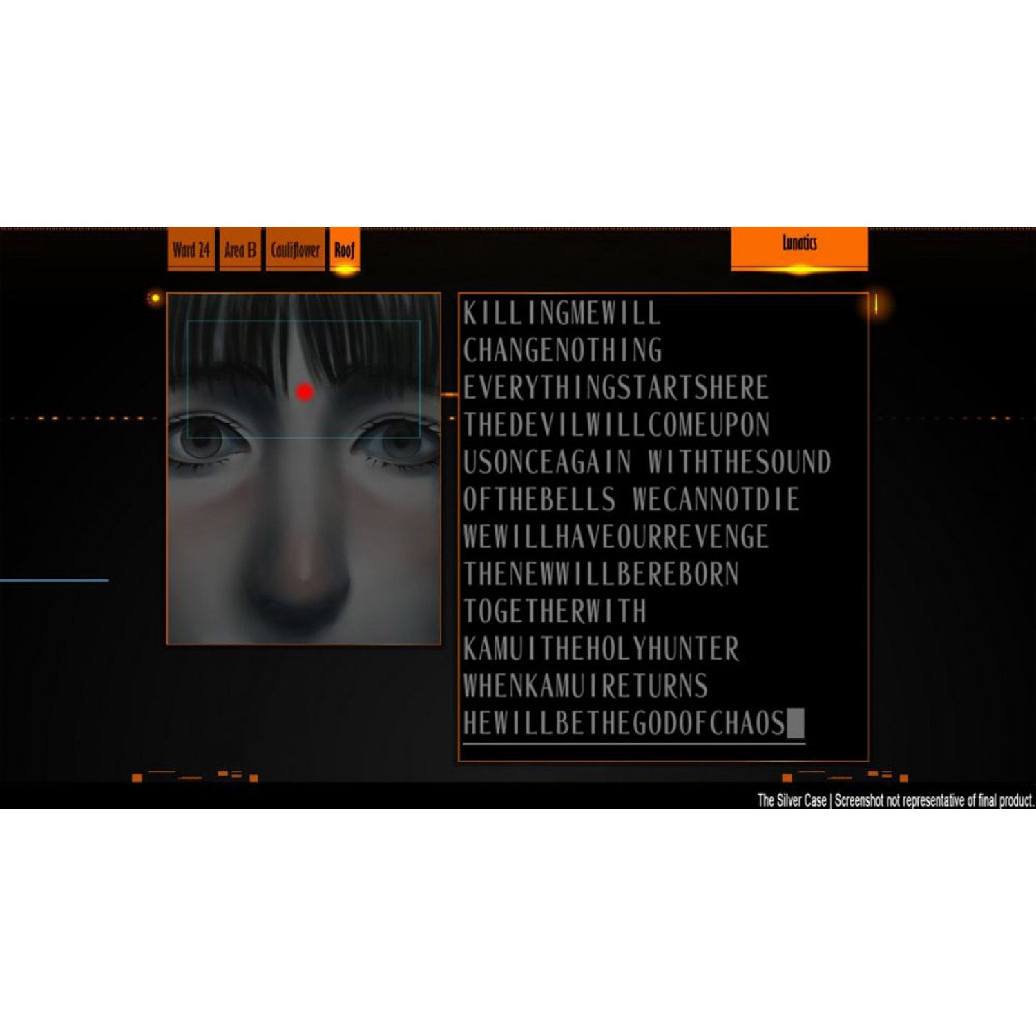 NSW The Silver Case 2425