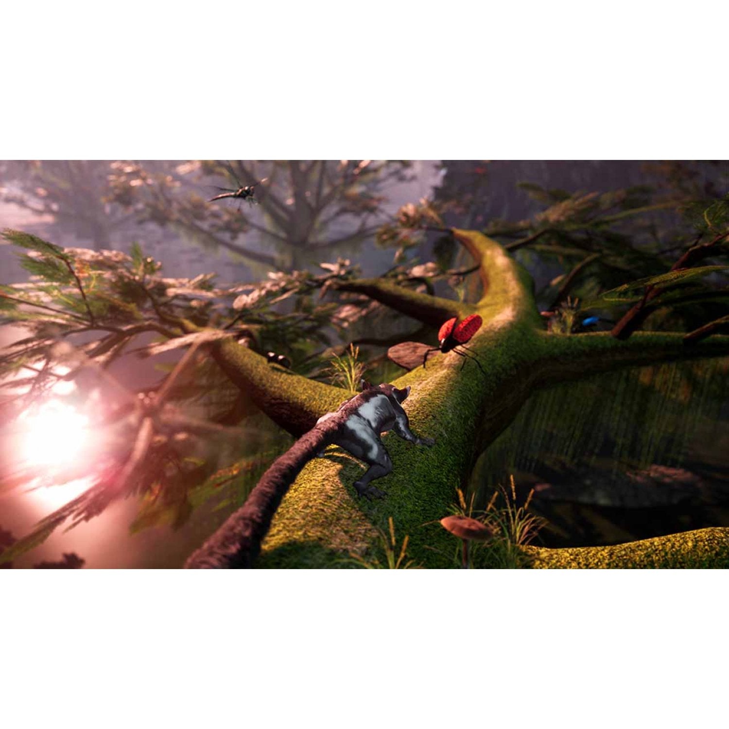 PS5 AWAY: The Survival Series