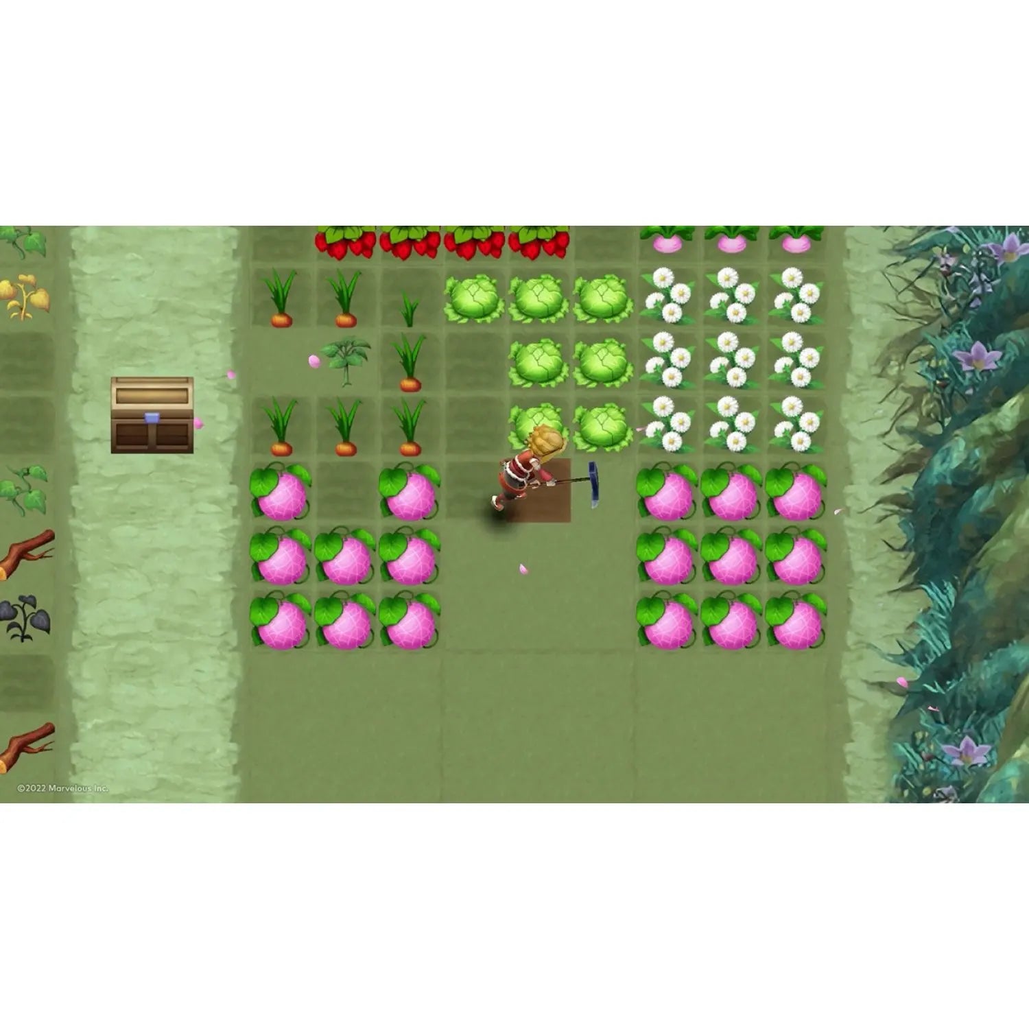 NSW Rune Factory 3 Special (Chinese)