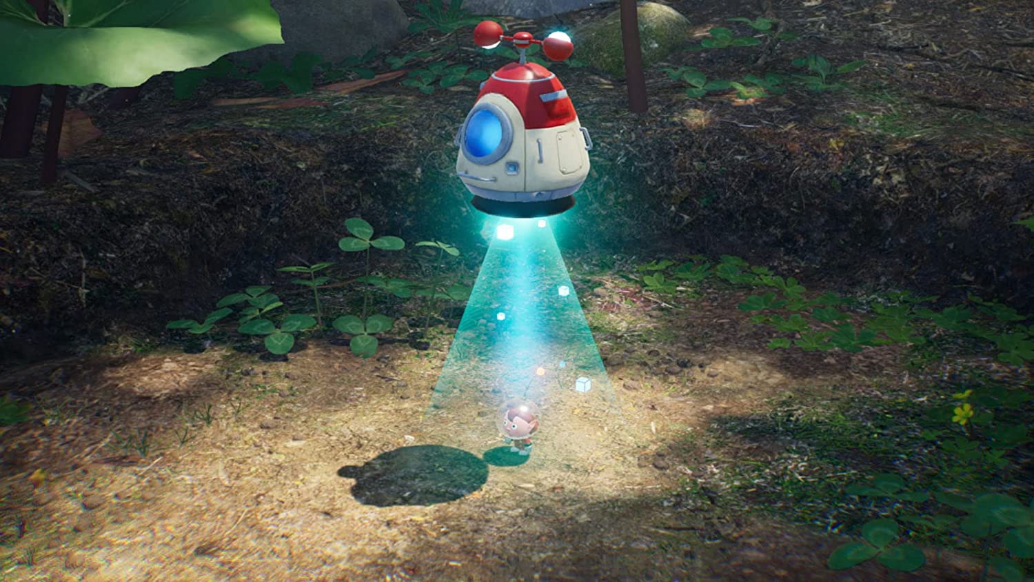 NSW Pikmin 4