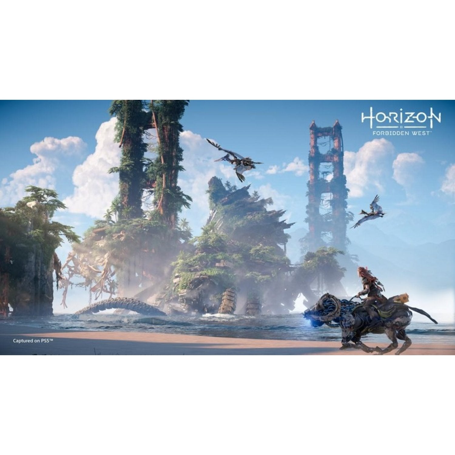 PS5 Horizon Forbidden West