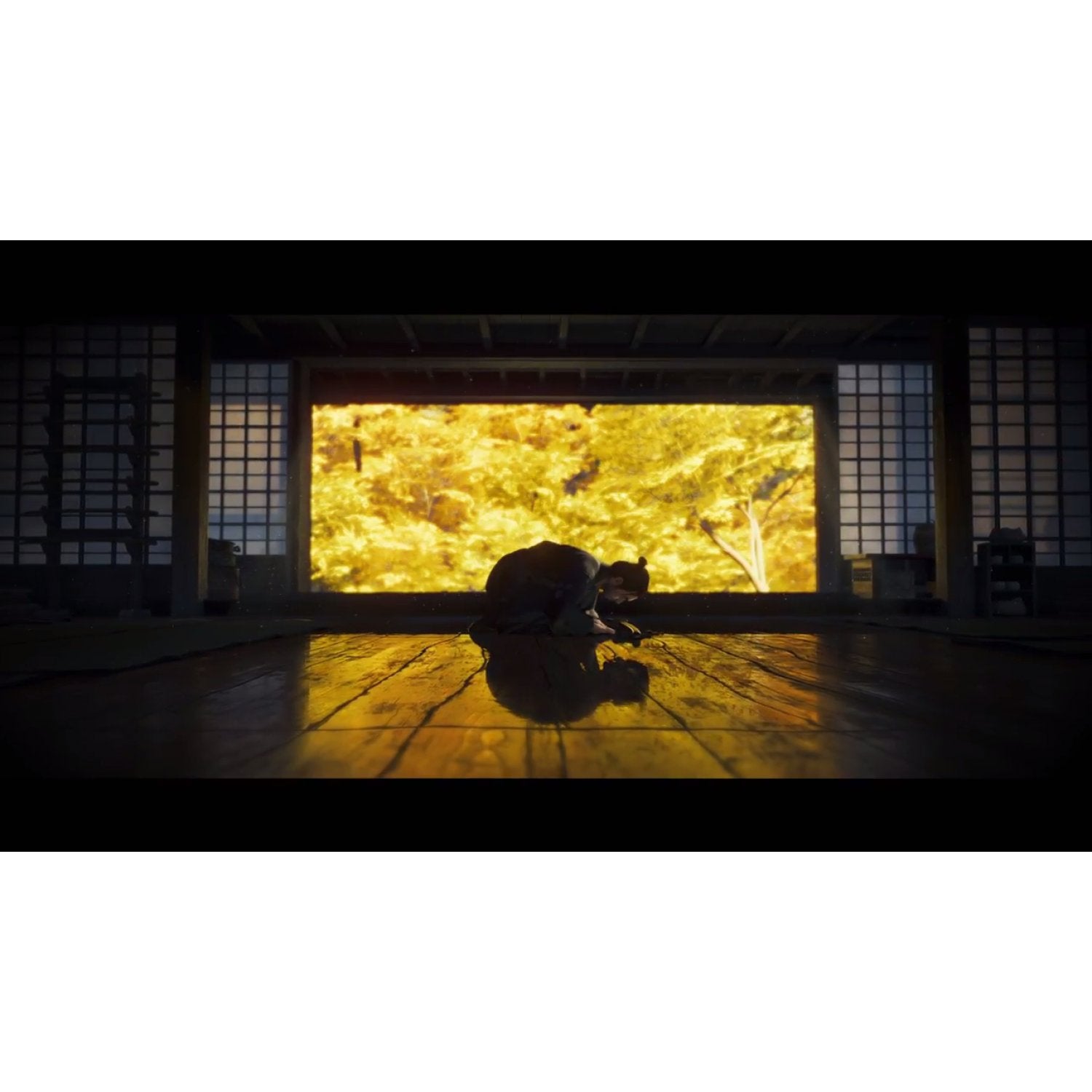 PS5 Ghost of Tsushima - Director's Cut Edition