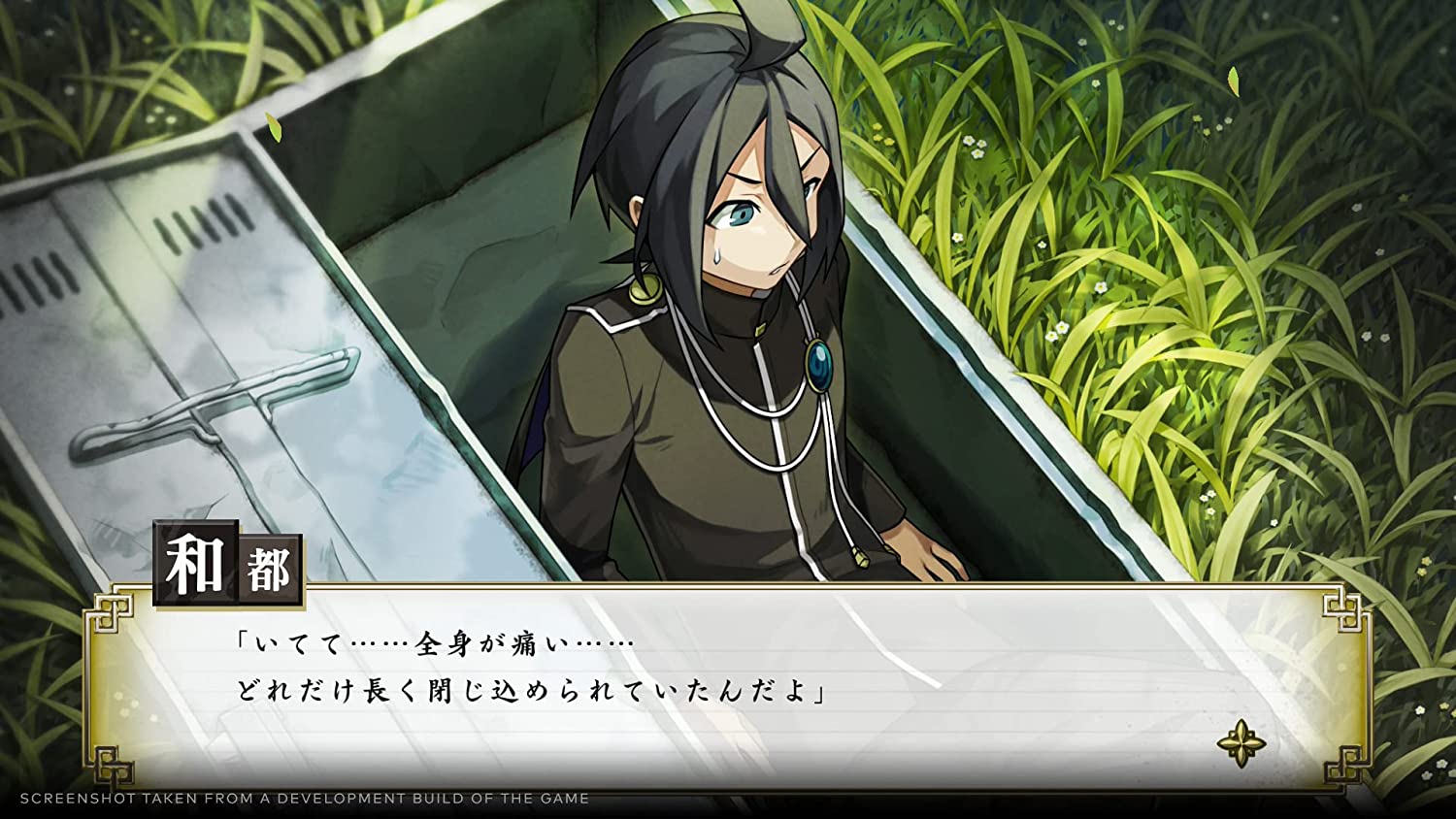 NSW Process of Elimination