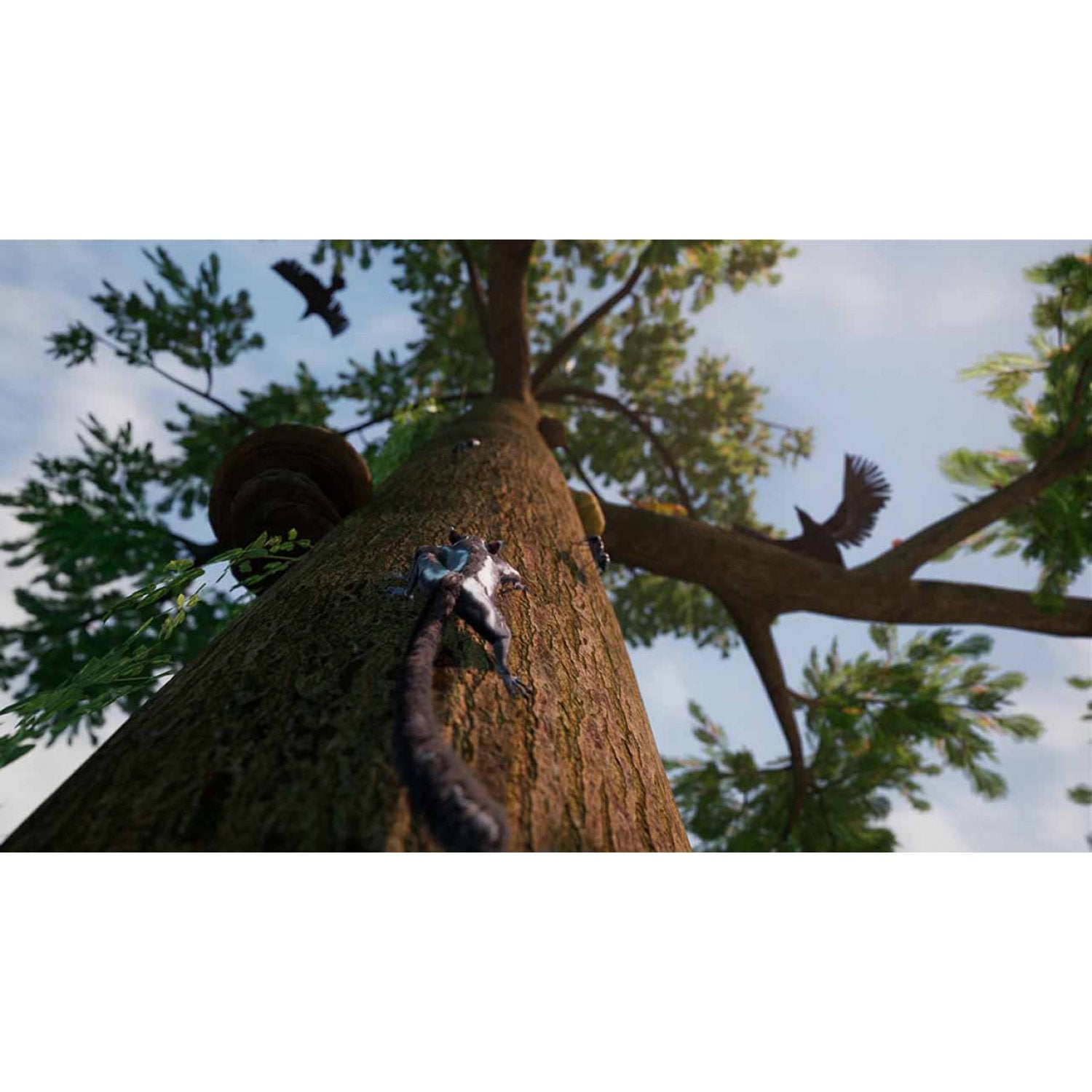 PS5 AWAY: The Survival Series