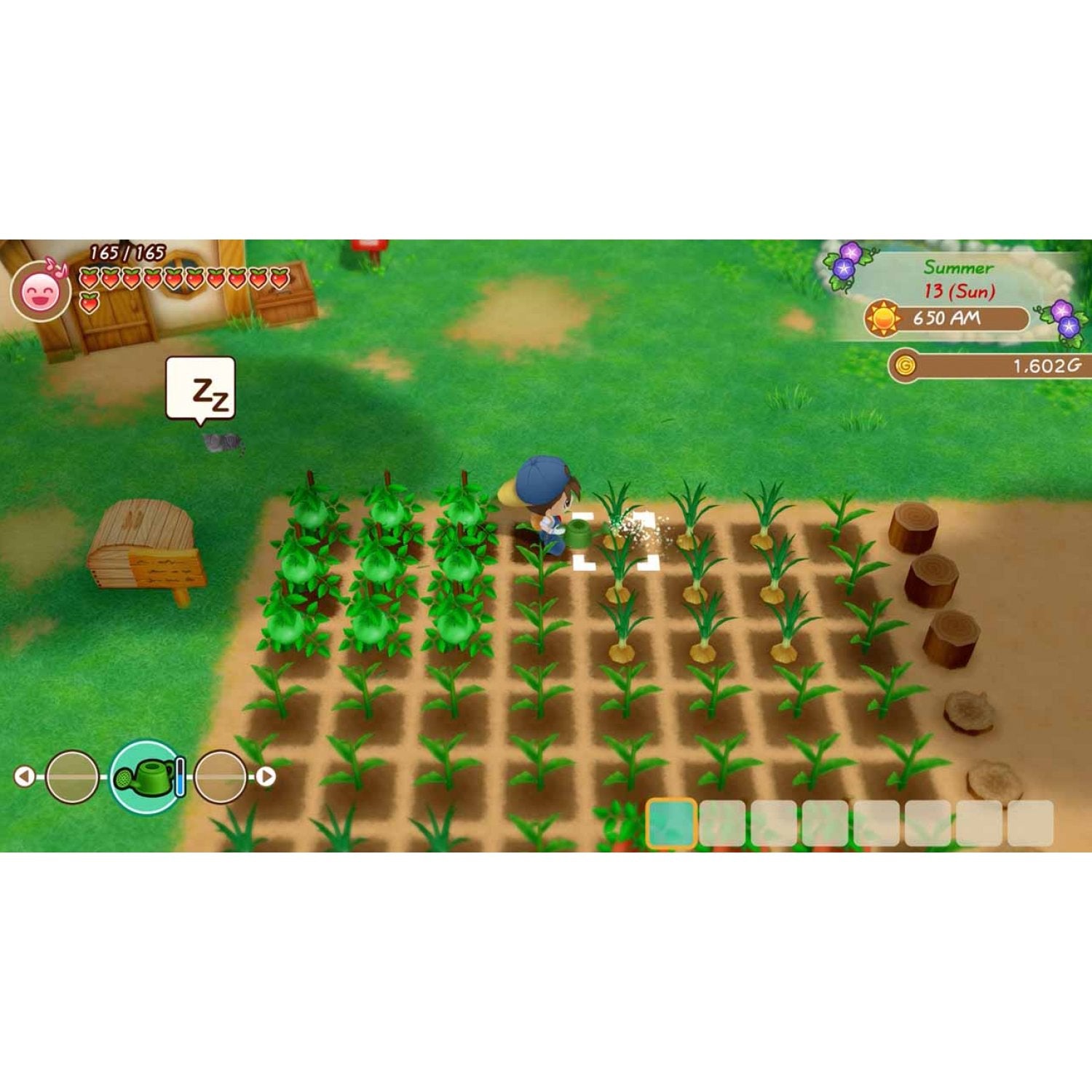 PS4 Story of Seasons: Friends of Mineral Town