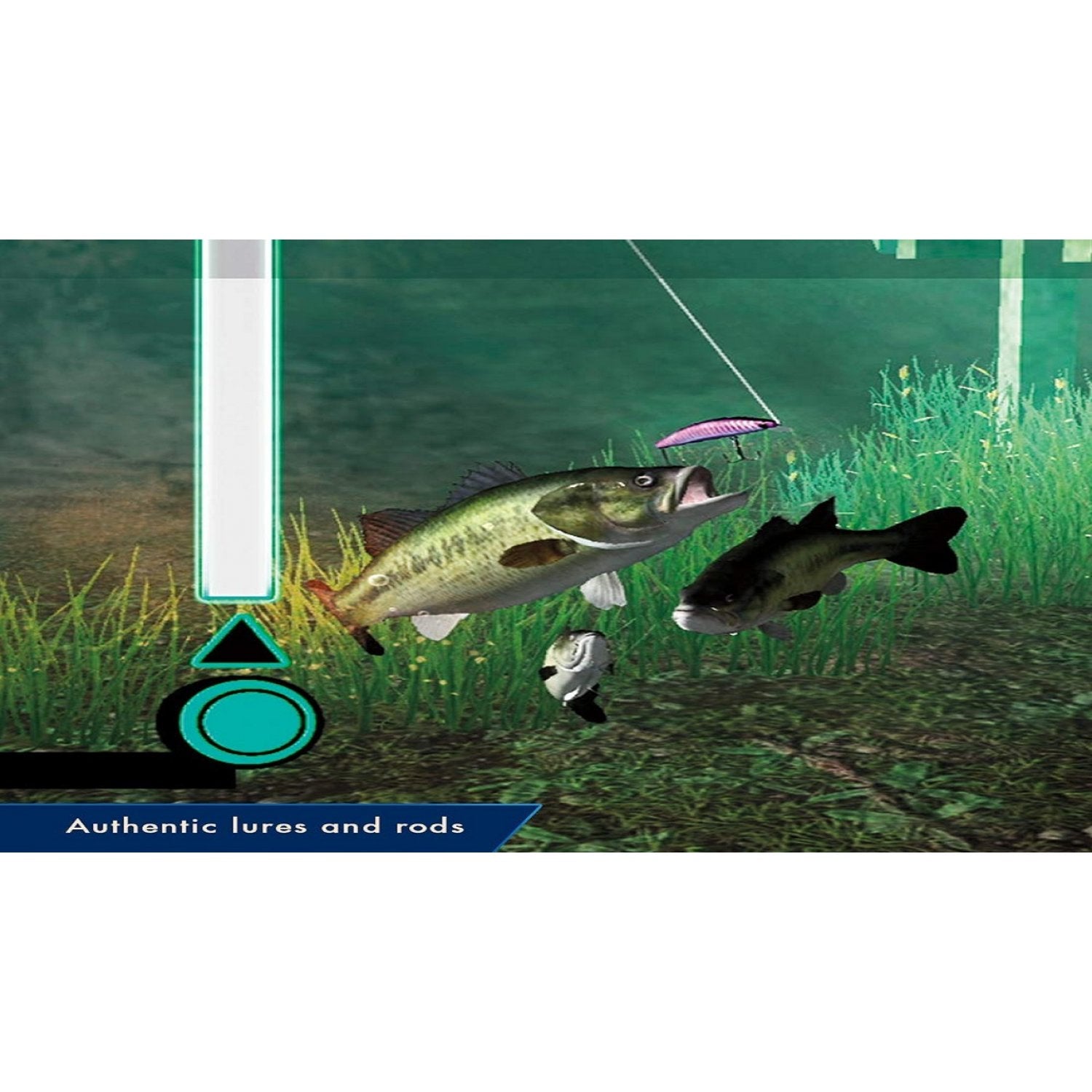 NSW Legendary Fishing