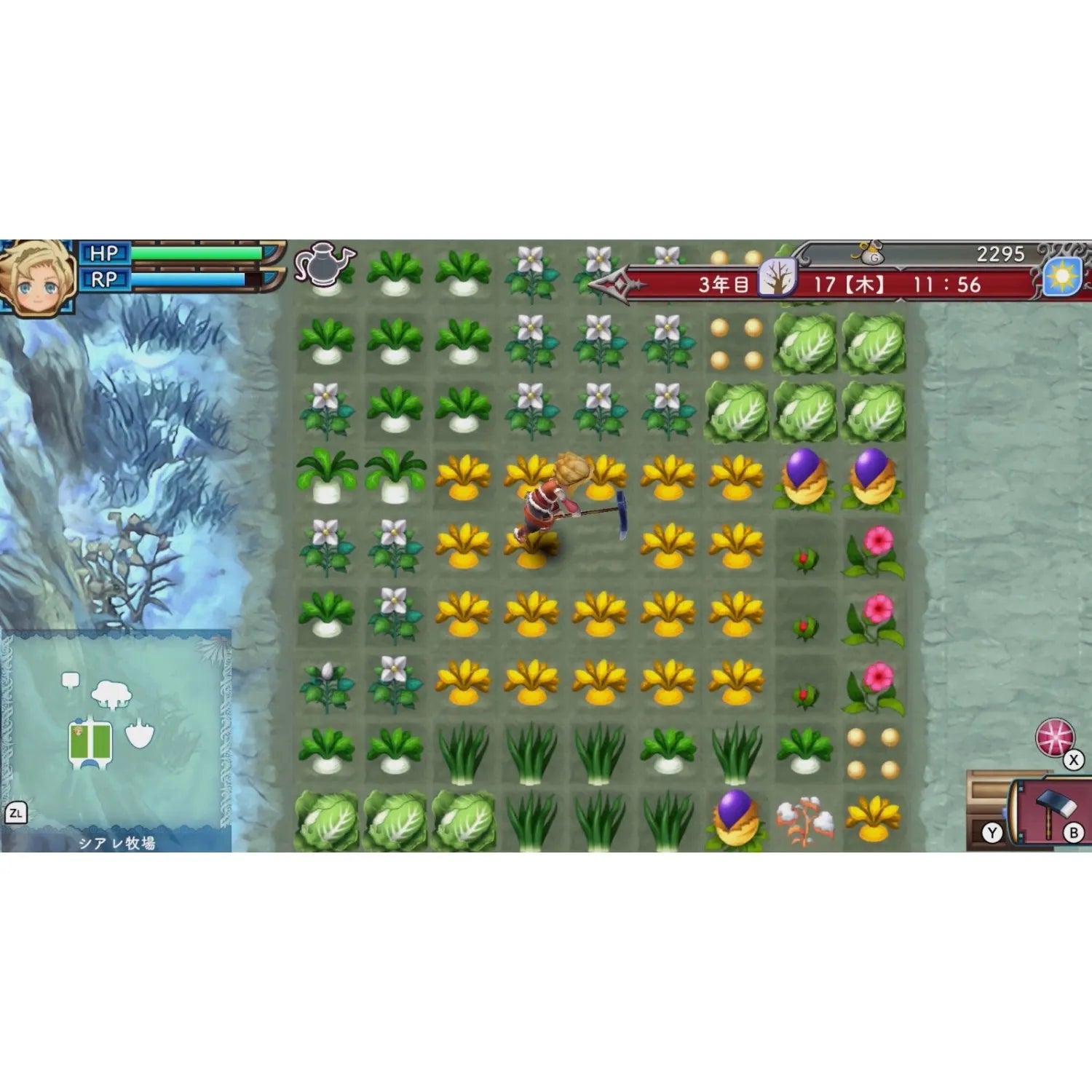 NSW Rune Factory 3 Special (Chinese)