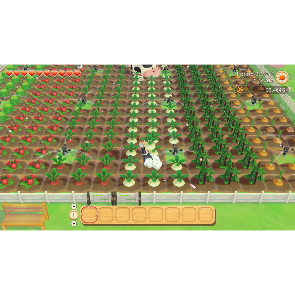 NSW Story of Seasons: Pioneers of Olive Town