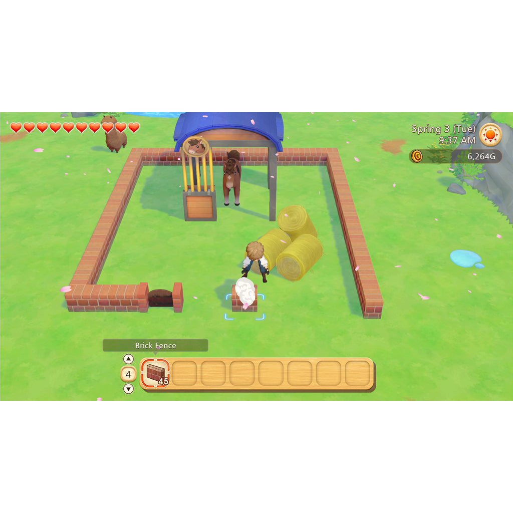 NSW Story of Seasons: Pioneers of Olive Town
