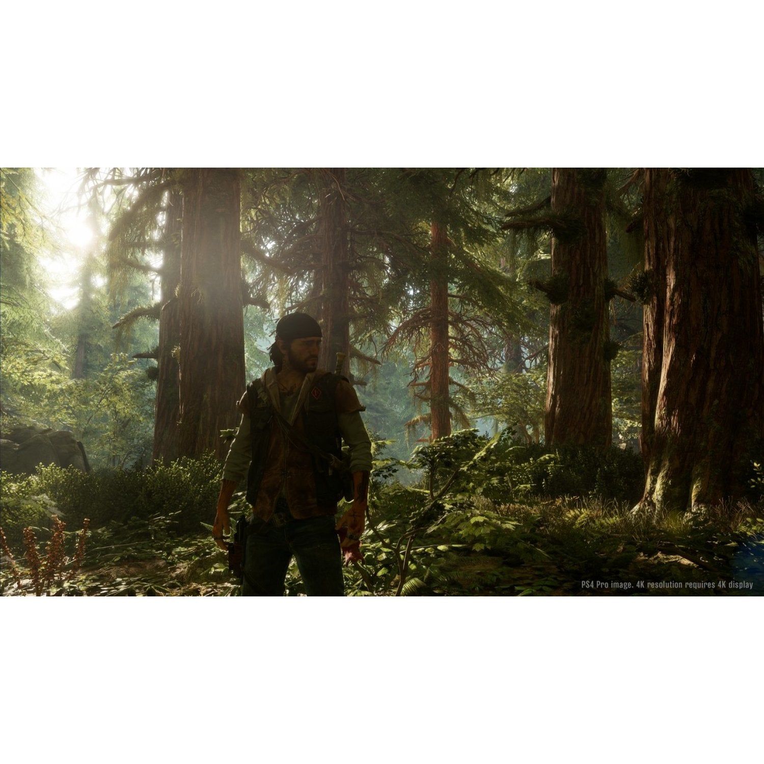 PS4 Days Gone
